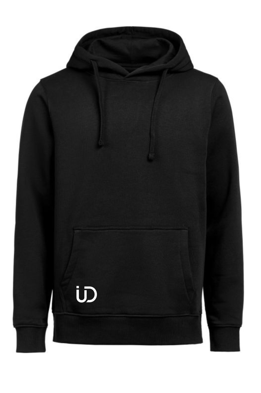 Hoodie "Art Lion"